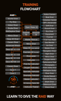 Flowchart RAID REC